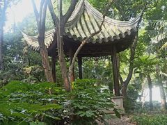 -汇龙潭