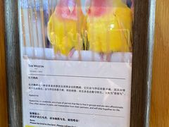 -西安威斯汀大酒店