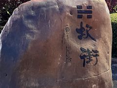 -特克斯八卦城