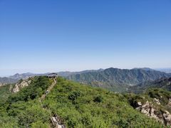 -大岭沟猕猴桃谷风景区