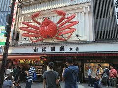 -蟹道乐(道顿堀本店)