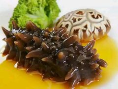 -笨鸡小跑·临沂炒鸡·佛跳墙(罗庄店)