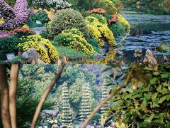 -杭州植物园