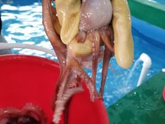 -阔澜蒸汽海鲜自助