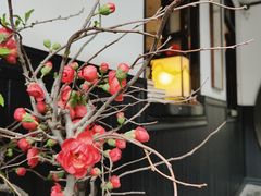 -31号公馆(黄兴广场白果园店)