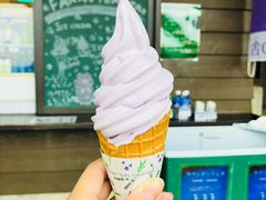 -富田农场