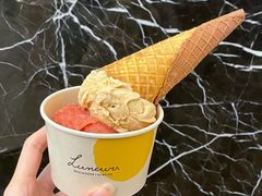 -LUNEURS月乐诗·法式冰淇淋(环贸店)