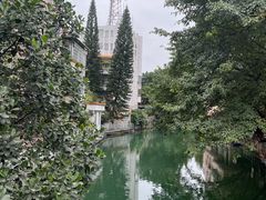 -小洲村