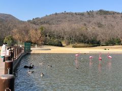 -南京汤山紫清湖生态旅游温泉度假区