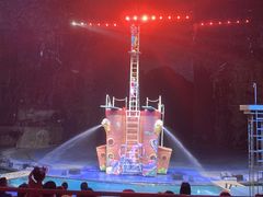 -广州长隆国际大马戏