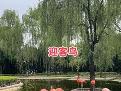 -石家庄市动物园