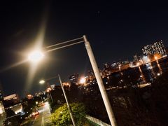 -台场海滨公园船码头