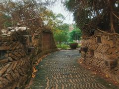 -深圳国际园林花卉博览园