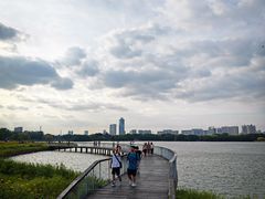 -海珠湖公园