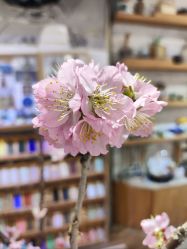 -今日陶艺(富力广场店)