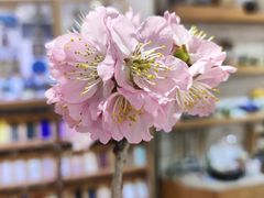 -今日陶艺(富力广场店)
