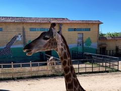 -鄂尔多斯野生动物园