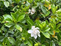 -梁鸿国家湿地公园