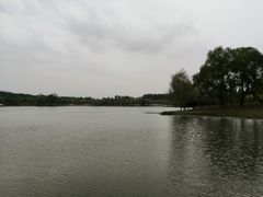 -东郊湿地公园