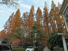 -上海怡沁园度假酒店