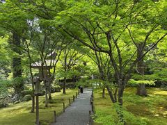 -三千院