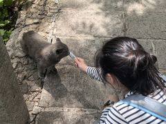 -北京凤凰岭