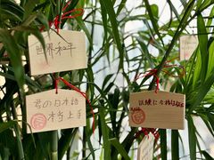 -帝京日语(春熙路旗舰校区)
