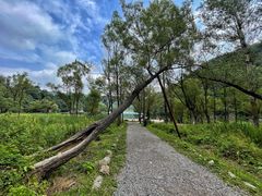 -玉渡山自然风景区