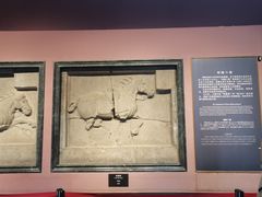 -西安碑林博物馆
