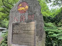-八卦田遗址公园