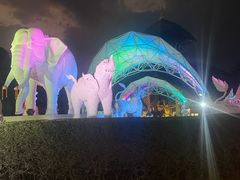 -清迈夜间动物园