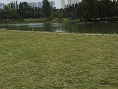 -秀丽东方