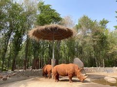 -北京野生动物园