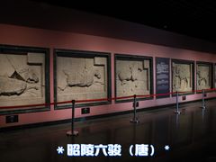 -西安碑林博物馆