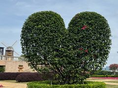 -东莞植物园