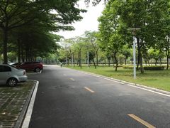 -顺德职业技术大学