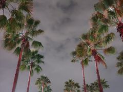 -萨莉亚意式餐厅(深圳北站店)