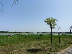 -西青郊野公园