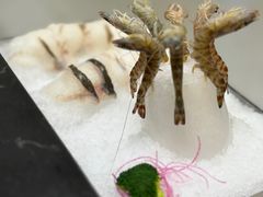 -红鼎豆捞·非遗鲍皇汤火锅(宝丰路店)