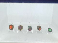 -长兴菜馆(高桥店)