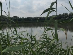 -白渔泡湿地公园