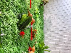 -横琴购口岸商业广场