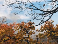 -狼牙山风景区
