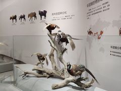 -武汉园博园(武汉自然博物馆)