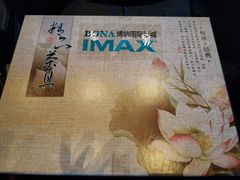 -博纳国际影城IMAX(中央大道店)