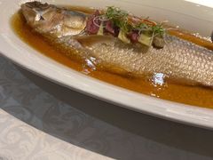 古法秘制蒸鲥鱼-麟1929(外滩店)