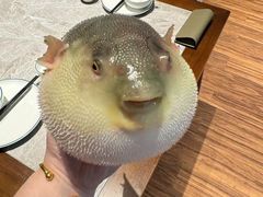 -永安鱼庄·镇江菜(东吴路店)