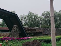 -东郊湿地公园