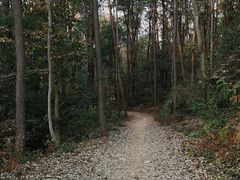 -青龙山国家森林公园