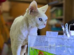 -藦茜花园宠物主题亲子互动体验馆(国顺东路店)